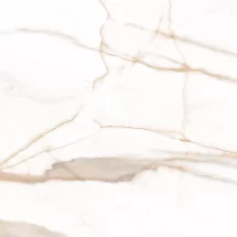 Calcatta Oro 60X60 Face2