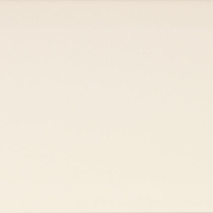 10x20_Cameo_Mate_Biselado_BX
