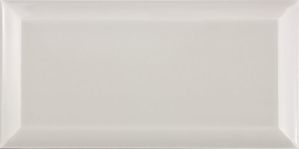 10x20_Grey_Mist_Biselado_BX