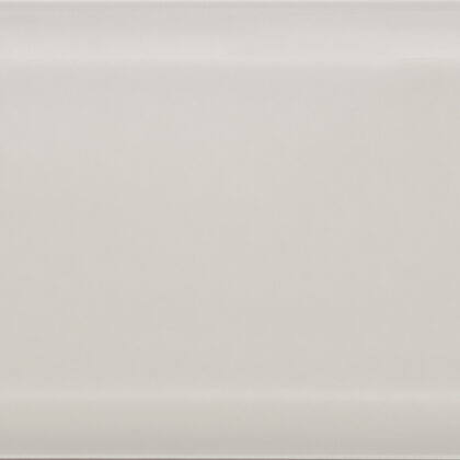 10x20_Grey_Mist_Biselado_BX