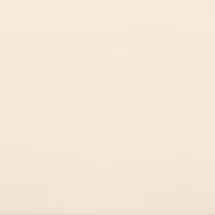 Diamant Hueso Brillo 10x20