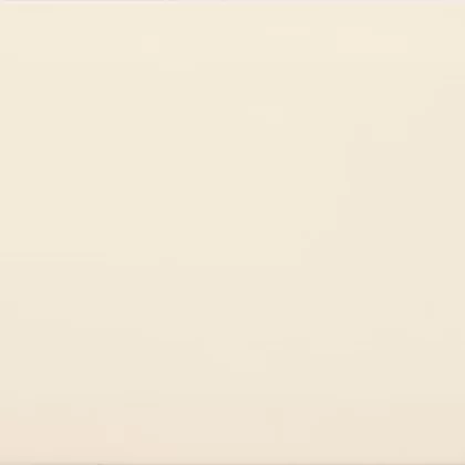 Diamant Hueso Brillo 10x20