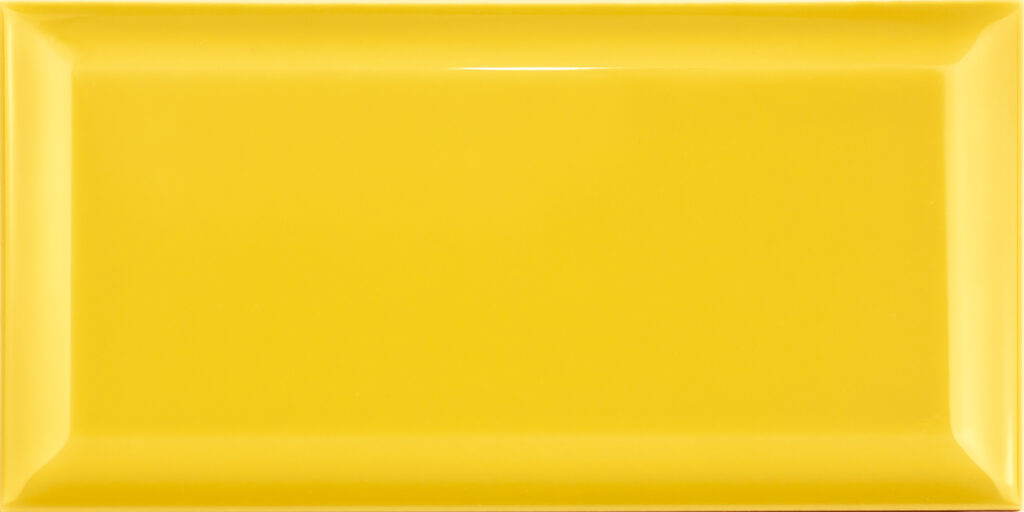 10x20_Mango_Biselado_BX