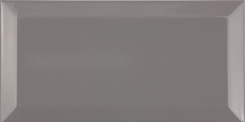 10x20_Marengo_Biselado_BX