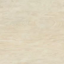 Legno  Beige 20x45