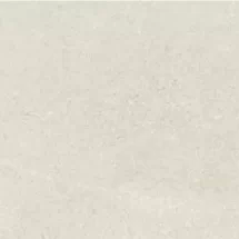 Palladio Grigio Chiaro 20x50