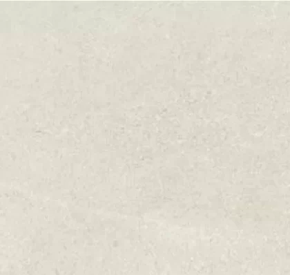 Palladio Grigio Chiaro 20x50