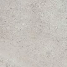 Palladio Grigio Scuro 20x50