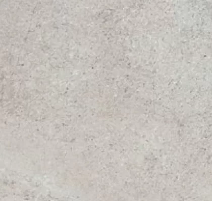 Palladio Grigio Scuro 20x50