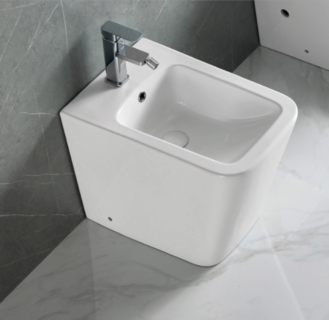 LT 003c Bidet A Terra
