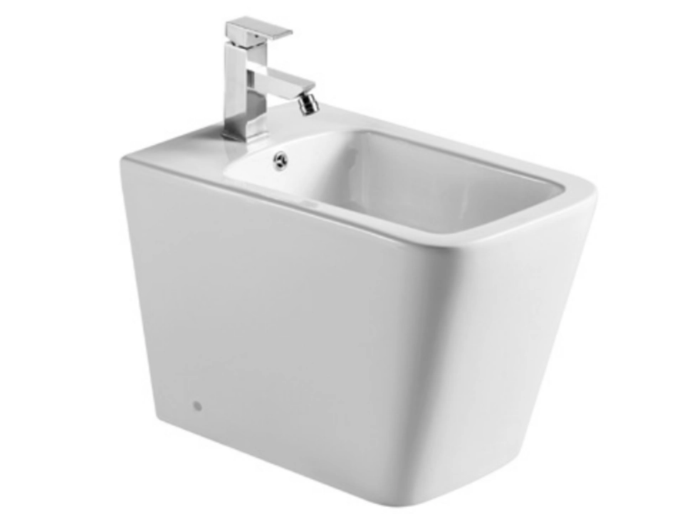 LT 003c Bidet A Terra