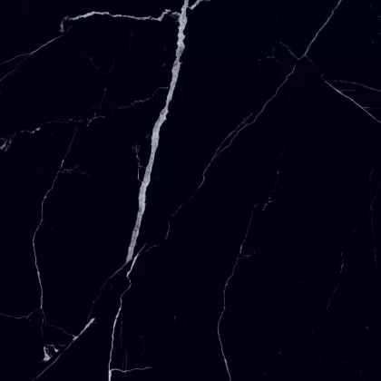 Nero Marquinia 120x120