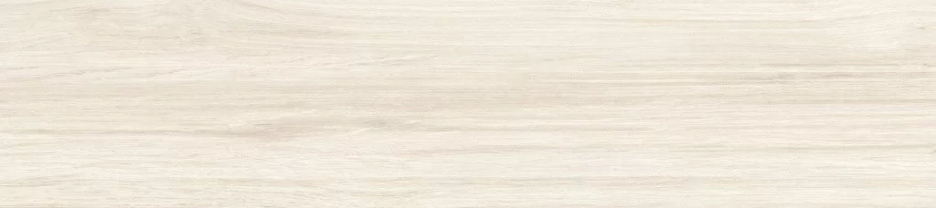 20X90 GB001 ARBOR BEIGE F1 PR03 228 Rotated