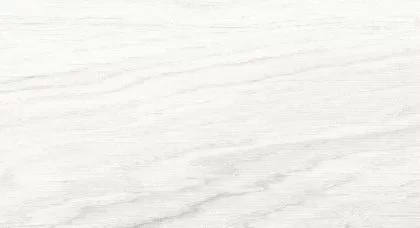 20X90 GB001 BIANCO F10 PR03 228 Rotated