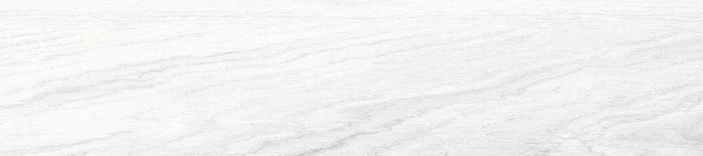 20X90 GB001 BIANCO F10 PR03 228 Rotated