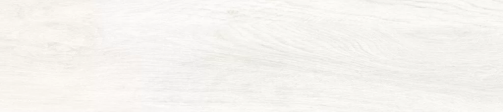 20X90 GB001 BIANCO F8 PR03 228 Rotated