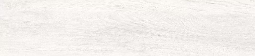 20X90 GB001 BIANCO F9 PR03 228 Rotated