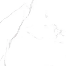 APUANE STATUARIO 60x60