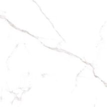 APUANE STATUARIO 60x60 Matt