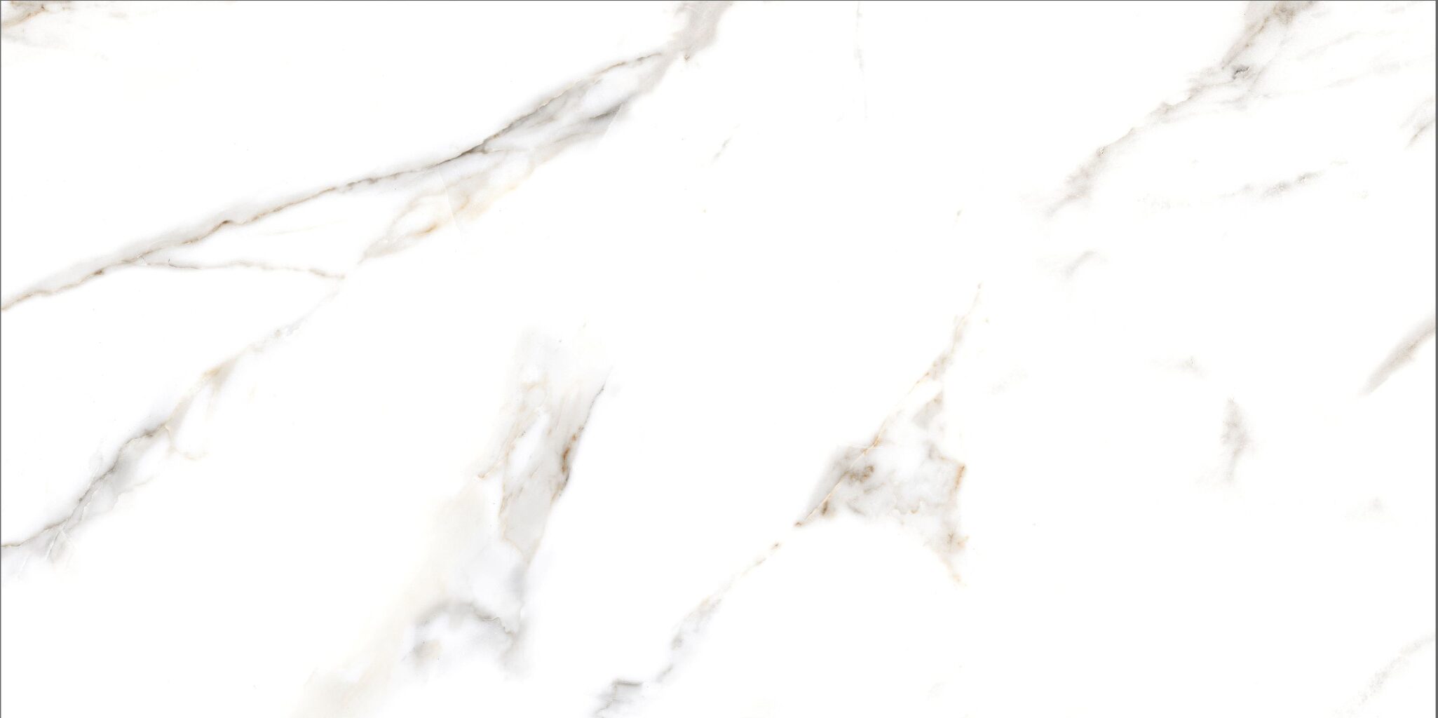 CALACATTA CREMA Satinati 1024 Rotated