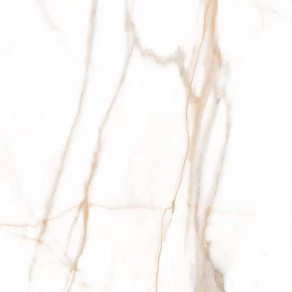 Calacatta Oro 120x120