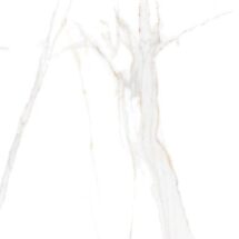 ST REGAL GOLD_R_1 2 512 Rotated