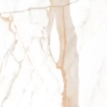 Calacatta Oro Matt 80x80