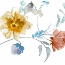 RAINBOW_FLOWER_4A_PT126_2313BEYB_J34