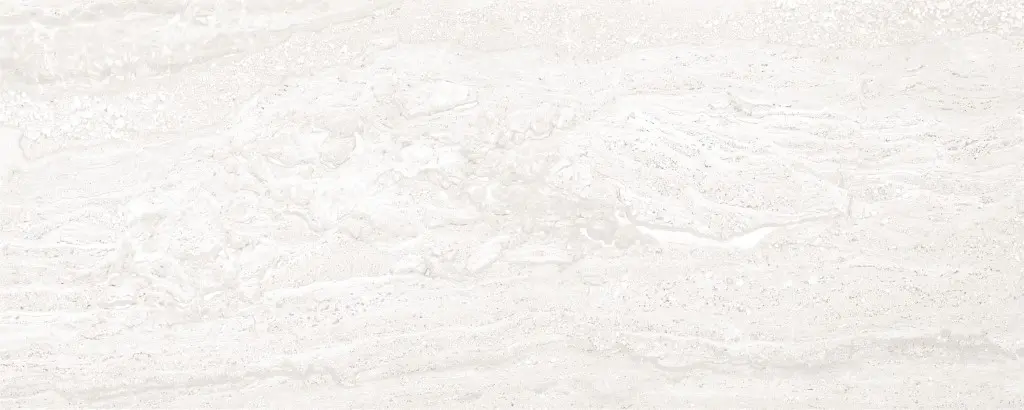 Trevise_Grigio Chiaro_20x50
